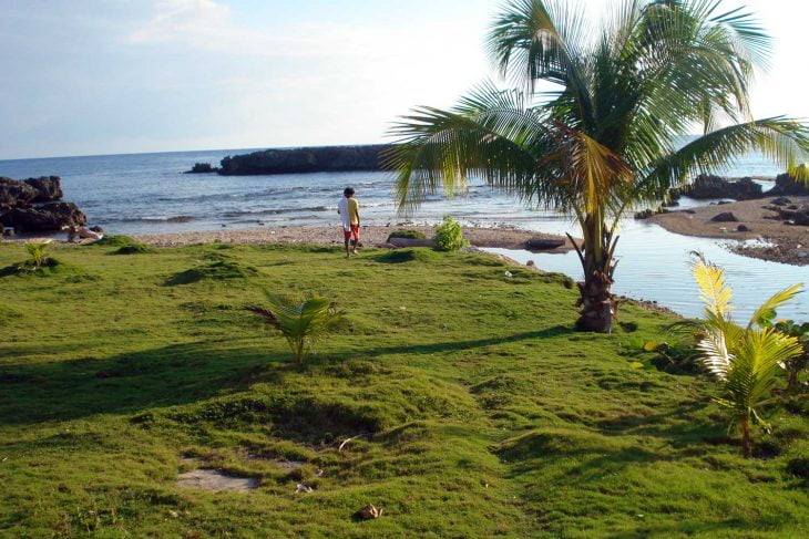 long bay portland jamaica long bay blue jamaican jerk sauce